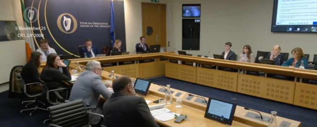 Photo of members of the National Citizens' Parliament taking part in a Joint Oireachtas Committee meeting